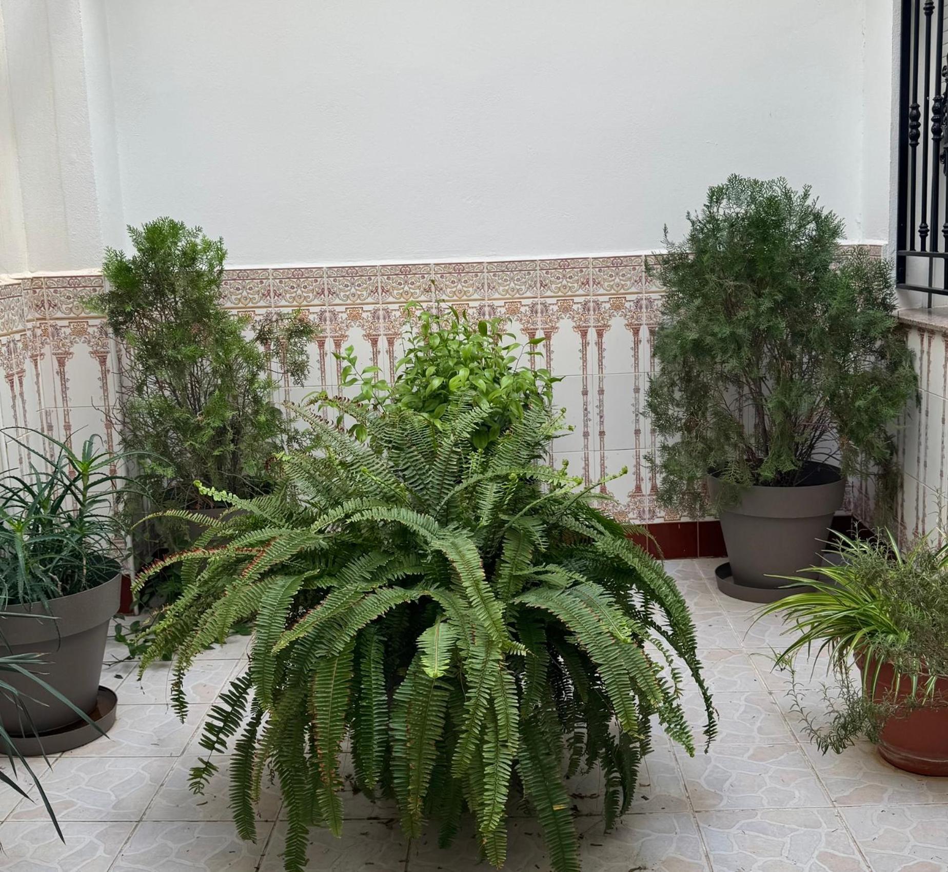 Hotel Ciudad Pozo Alcón Εξωτερικό φωτογραφία